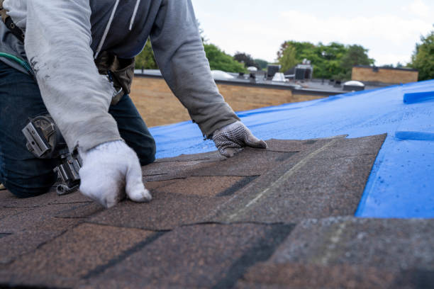 Best Commercial Roofing Services  in Breckinridge Center, KY