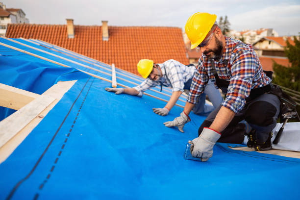 Best Storm Damage Roof Repair  in Breckinridge Center, KY