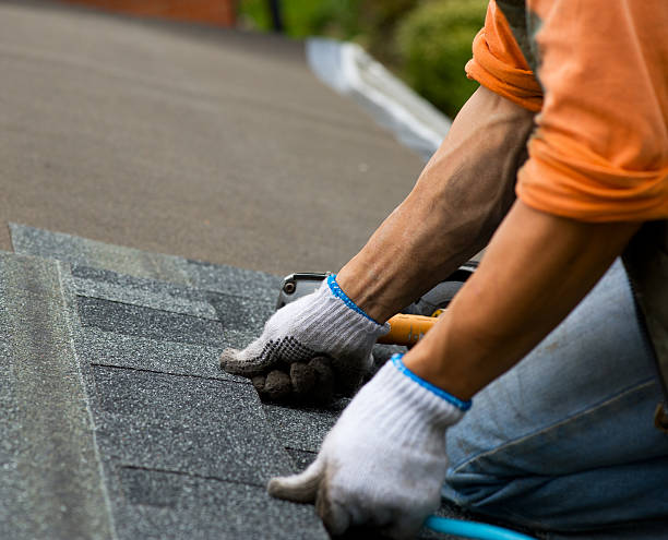 Best Roof Repair Services  in Breckinridge Center, KY