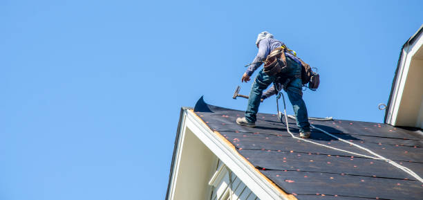 Best Metal Roofing Contractor  in Breckinridge Center, KY